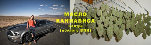 индика Гусь-Хрустальный