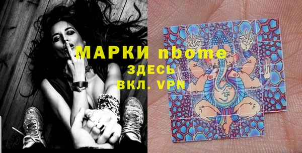 тгк Няндома